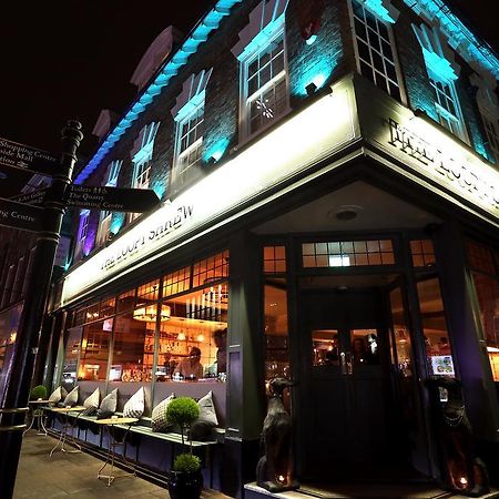 The Loopy Shrew Hotel Shrewsbury Exterior foto